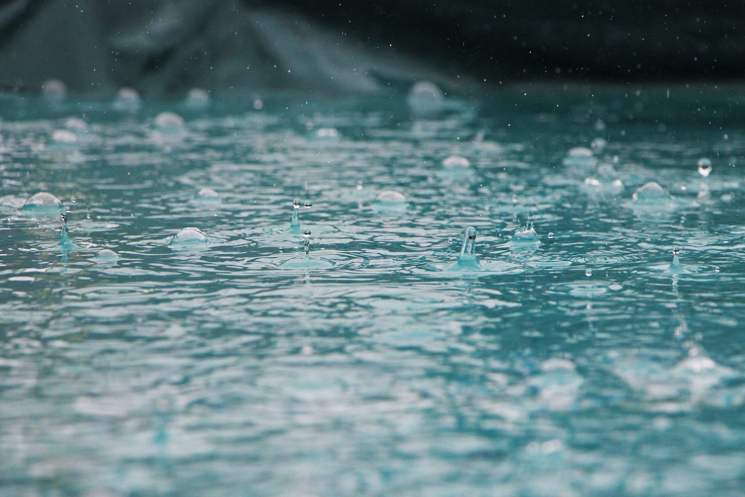récupération eau de pluie