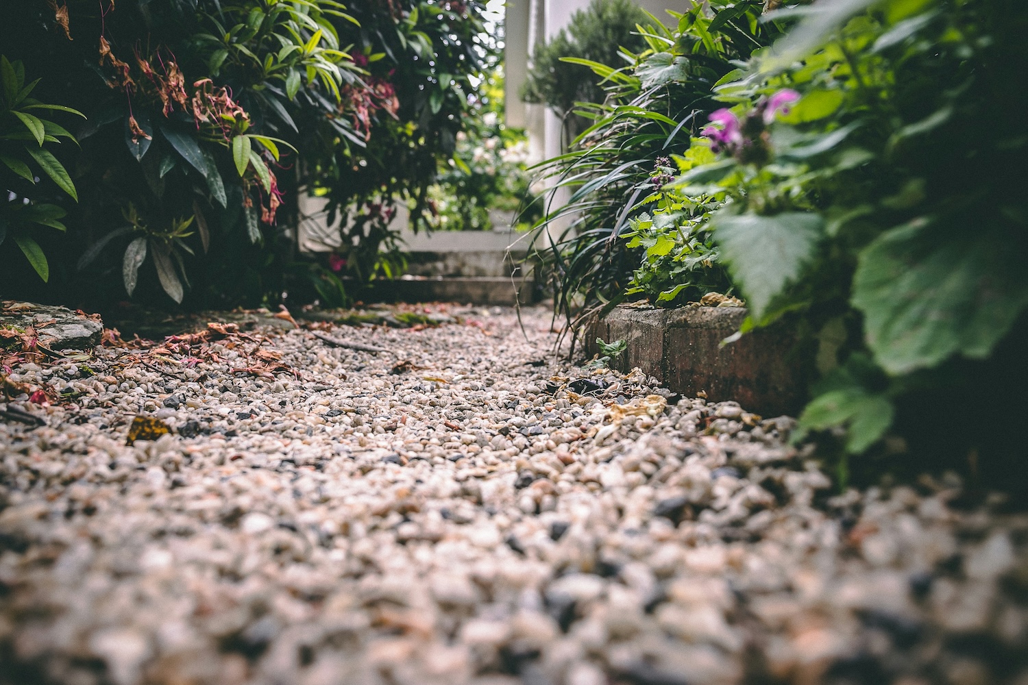 revêtement allée jardin